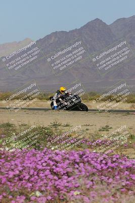 media/Feb-04-2023-SoCal Trackdays (Sat) [[8a776bf2c3]]/Turn 15 Inside Blooming (1050am)/